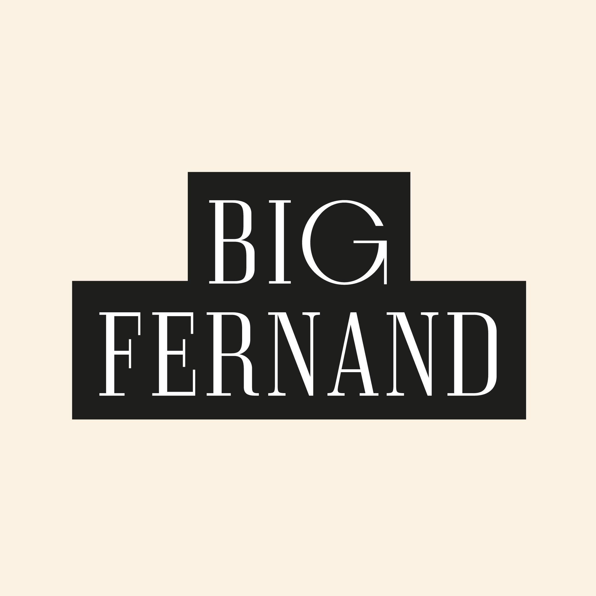 Création du site internet WordPress de BigFernand